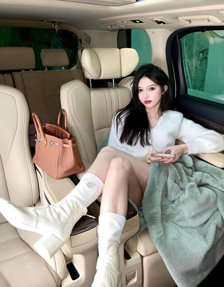 成全世界大全高清全集在线,高清正版视频在线观看